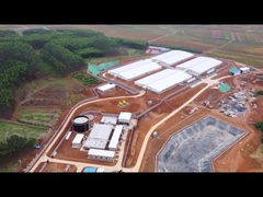 Bảng điều khiển PVC Hàng rào Bút vỗ béo Piglet Vườn ươm với bộ nạp hoàn thiện